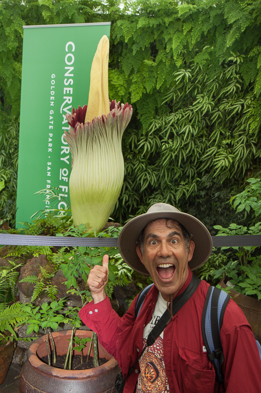 titan arum